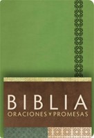 Biblia RVC Oraciones y Promesas