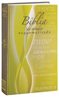 Biblia de Estudio Esquematizada
