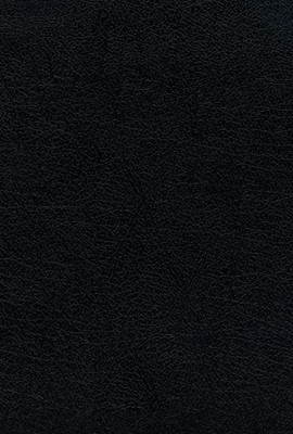 Santa Biblia Ultrafina con Letra Grande