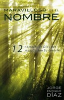 Maravilloso es el Nombre (Rústica )