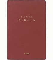 Biblia Ultrafina (Vinilo)