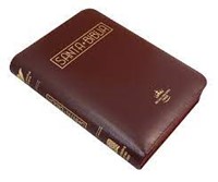 Biblia Letra Grande Vinotinto - Canto Dorado (Imitación Piel)