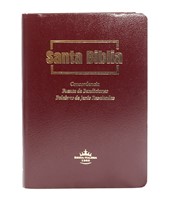Biblia Fuente de Bendiciones / Vinotinto (Imitación Piel)