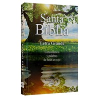Biblia Económica Letra Grande (Rústica)