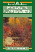 Panorama del Nuevo Testamento (Tapa Suave) [Libro]