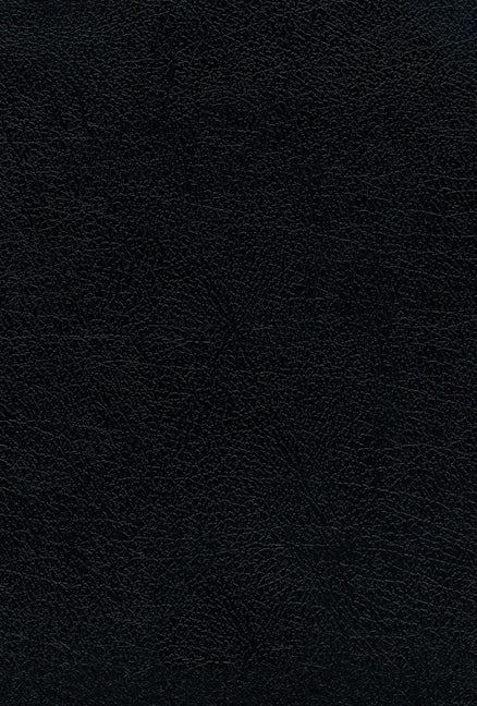 Santa Biblia Ultrafina con Letra Grande