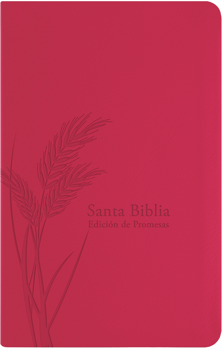 Biblia de Promesas Imitación Piel Fucsia