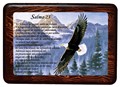 Salmo 23